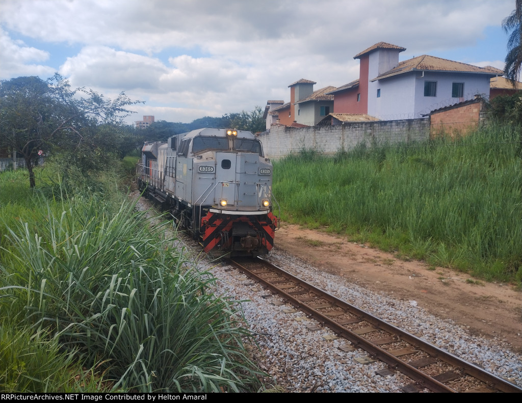VLI 8365